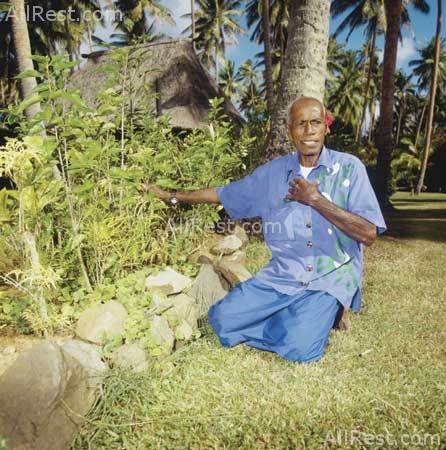 Jean-Michel Cousteau Fiji Islands Resort 43